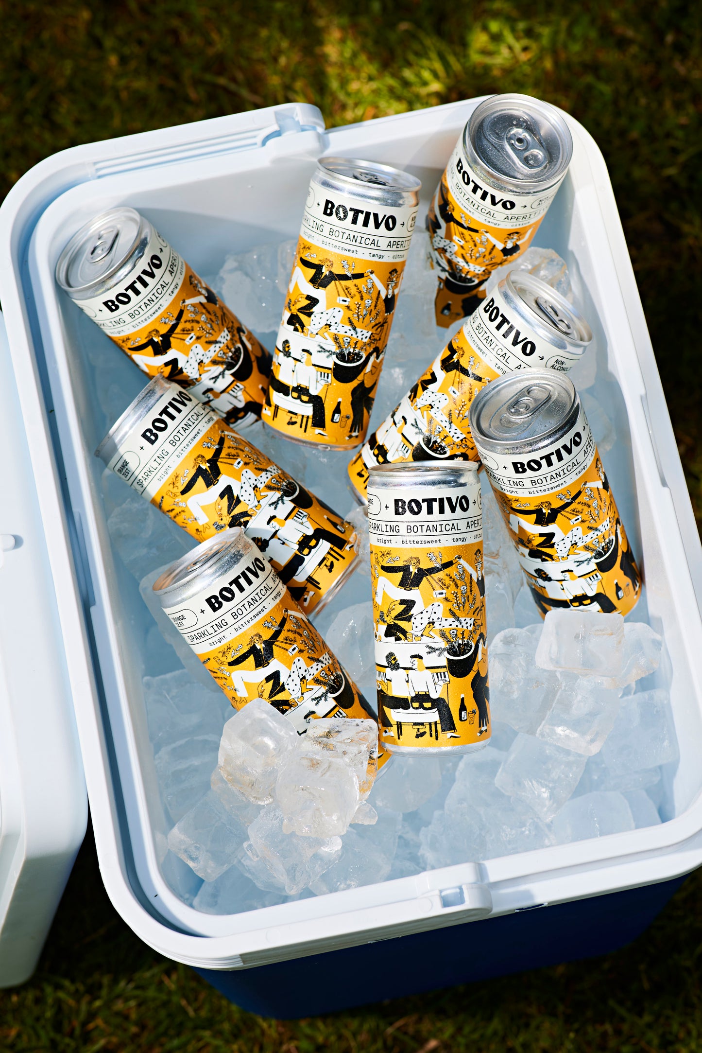 Botivo cans (12 pack)