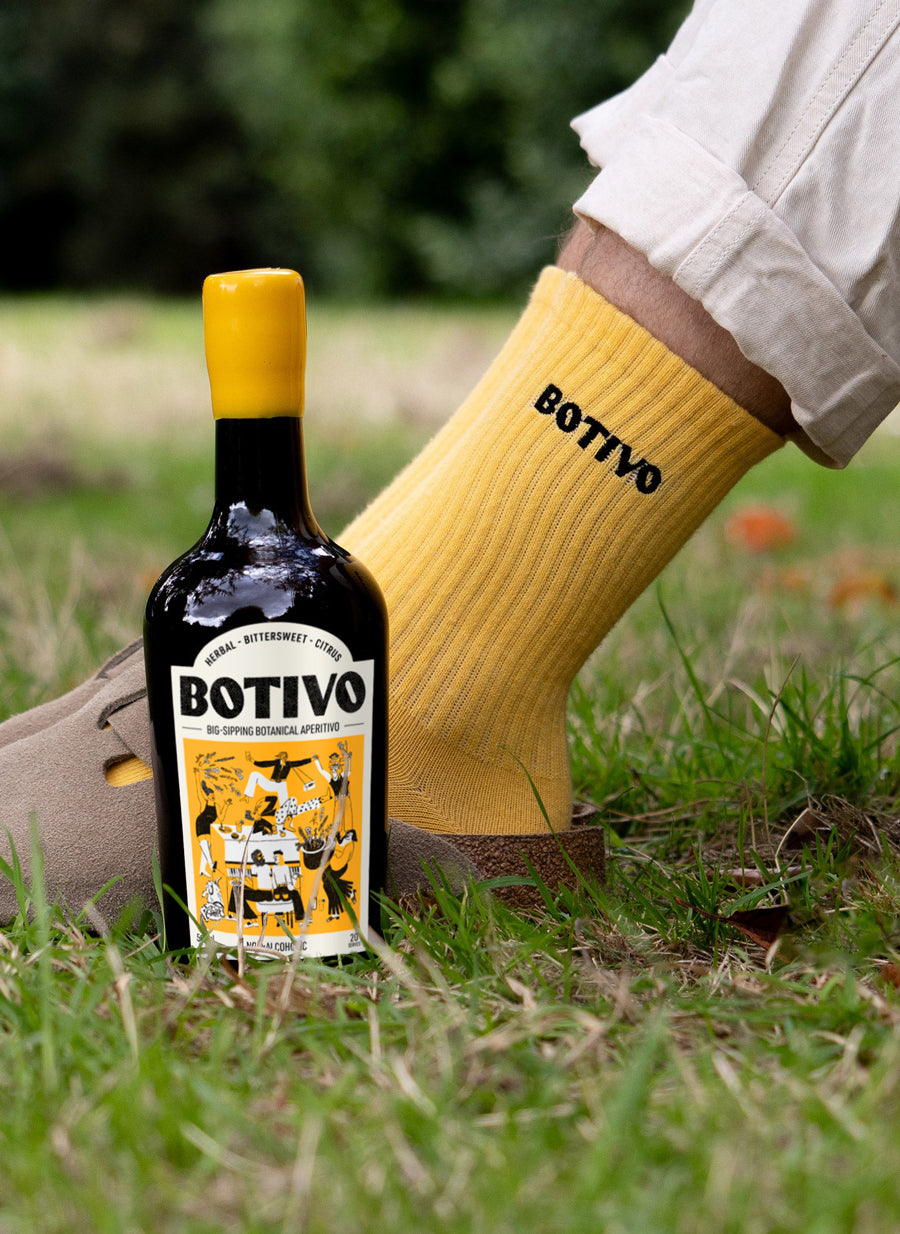 Botivo & Socks
